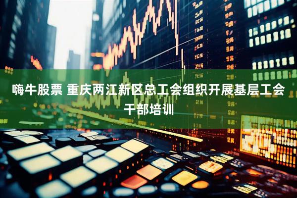 嗨牛股票 重庆两江新区总工会组织开展基层工会干部培训