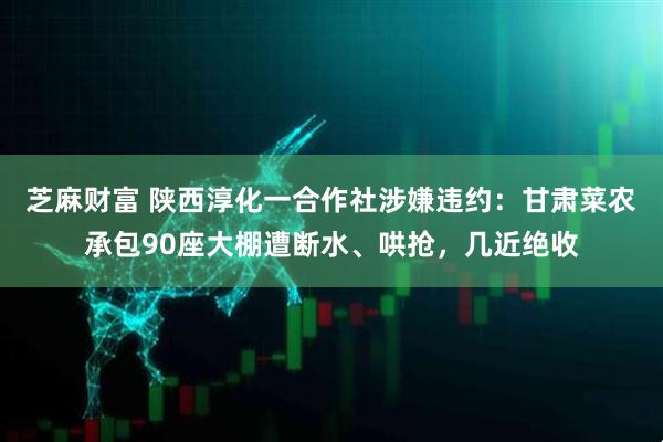 芝麻财富 陕西淳化一合作社涉嫌违约：甘肃菜农承包90座大棚遭断水、哄抢，几近绝收
