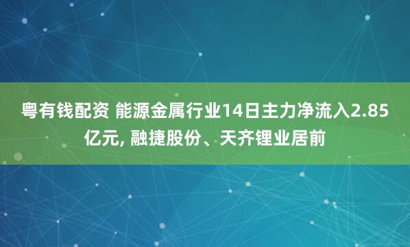 粤有钱配资 能源金属行业14日主力净流入2.85亿元, 融捷股份、天齐锂业居前