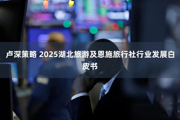 卢深策略 2025湖北旅游及恩施旅行社行业发展白皮书