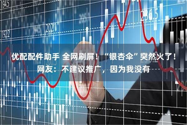 优配配件助手 全网刷屏！“银杏伞”突然火了！网友：不建议推广，因为我没有