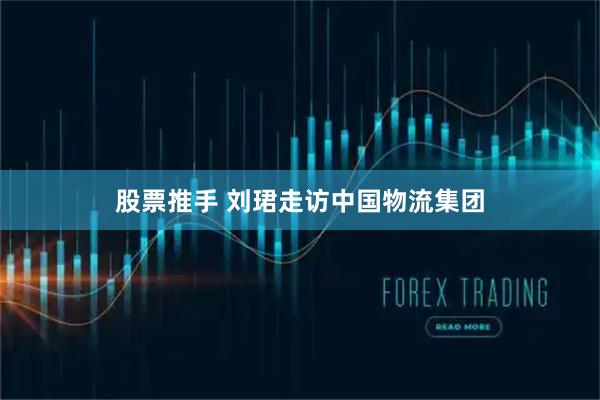 股票推手 刘珺走访中国物流集团