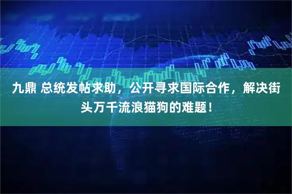 九鼎 总统发帖求助,公开寻求国际合作,解决街头万千流浪猫狗的难题!