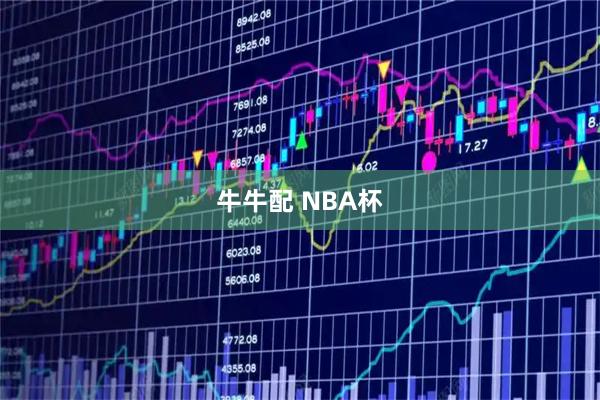 牛牛配 NBA杯