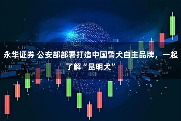 永华证券 公安部部署打造中国警犬自主品牌，一起了解“昆明犬”